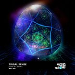 Portada para "Tribal Sense"