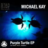 Artwork for "Purple Turtle"