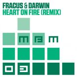 Artwork for "Heart On Fire (Remix)"