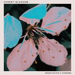 Artwork voor "Cherry Blossom"