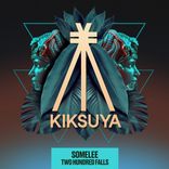 Artwork for "Two Hundred Falls"