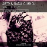 Artwork for "Wasted Love"