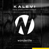 Artwork for "Kalevi"