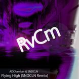 Artwork voor "Flying High"