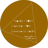 Artwork for "Haven / Push"