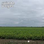 Artwork for "Peace Of Heart"