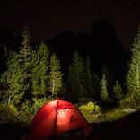 Portada para "Cricket Sounds (Loopable)"