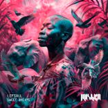 Artwork for "Sweet Dreams"