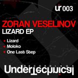 Artwork for "Lizard EP"