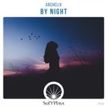Portada para "By Night"