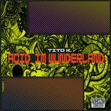 Artwork for "ACID Im Wunderland"