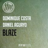 Portada para "Blaze"