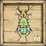 Artwork for "Reflections"