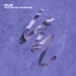 Artwork voor "The Stone (feat. Biljana Pais)"