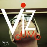 Artwork for "Vizdumb"