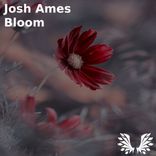 Artwork voor "Bloom"