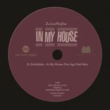 Artwork für "In My House (Nu-Age Dub Mix)"
