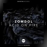 Artwork for "Acid On Fire"