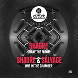 Artwork für "Shake The Floor / One In The Chamber"