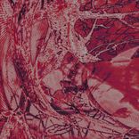 Artwork voor "Matrix of Confusion"