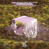 Artwork voor "Coming Home"