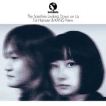 Artwork für "The Satellites Looking Down on Us"