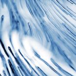 Artwork voor "Frenzied Society"