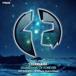 Artwork for "Guardians Of Forever"