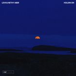 Artwork voor "Holdin On"