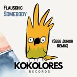 Portada para "Somebody (Sebb Junior Remix)"