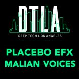 Portada para "Malian Voices"