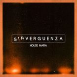 Artwork for "Sinverguenza"