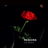 Portada para "Reborn"