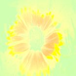 Artwork voor "Zon Zin Zee"