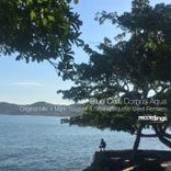 Artwork für "Corpus Aqua"