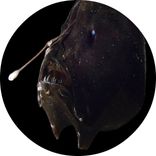 Artwork für "Ruptures EP"