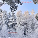 Artwork for "December"