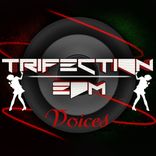 Artwork for "Voices"