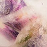 Portada para "The Beginning of Everything"