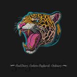 Artwork voor "Ordinary"