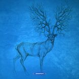 Artwork für "Outer Layer"