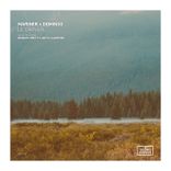 Beneath Pretty Lights