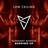 Artwork for "BURNING UP"