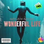 Wonderful Life