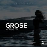 Portada para "You Need"