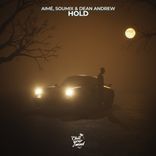 Artwork voor "Hold"