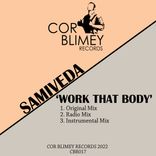 Artwork for "Work That Body"