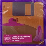 Artwork für "Never Knew"