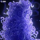 Artwork voor "Chromatids"