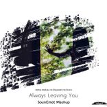 Portada para "Always Leaving You"